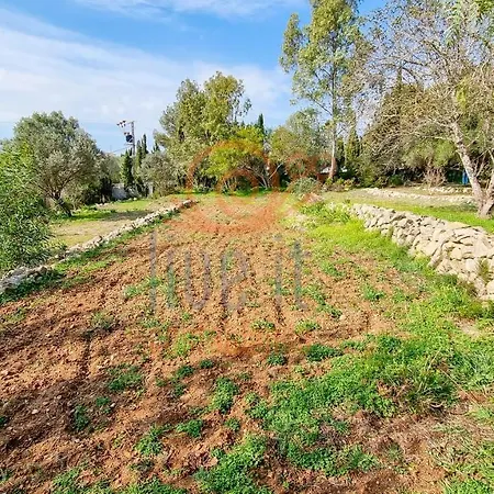 Villa Euripides. Javea. Live It Costablanca